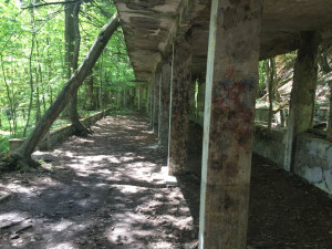 NAJUZBUDLJIVIJI PAINTBALL TEREN | PAINTBALL SLJEME | ZAGREB